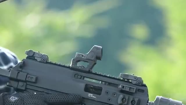 SWISS PDW
