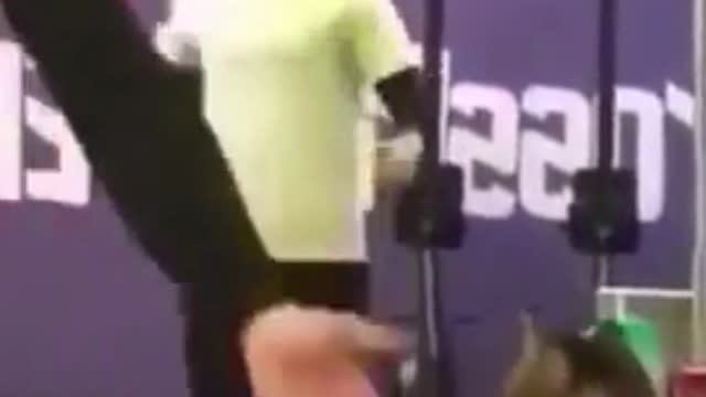 cat giving hi-five FUNNY VIDEO