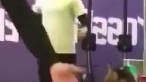 cat giving hi-five FUNNY VIDEO