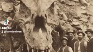 Reptilians & Giants