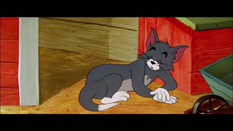 TOM & JERRY - CHILDHOOD CARTOON