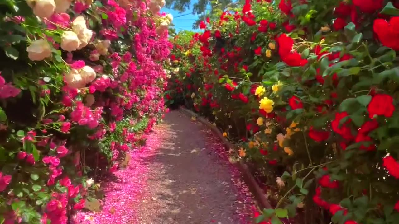 Beautiful