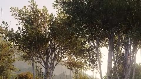 Air indain emergency landing