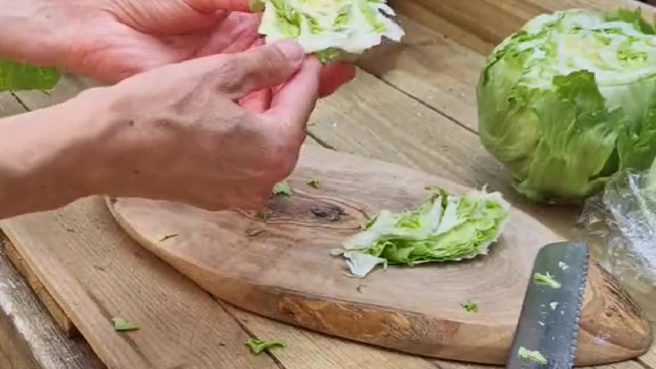 Growing [organic] lettuce brought from the store/farmers market