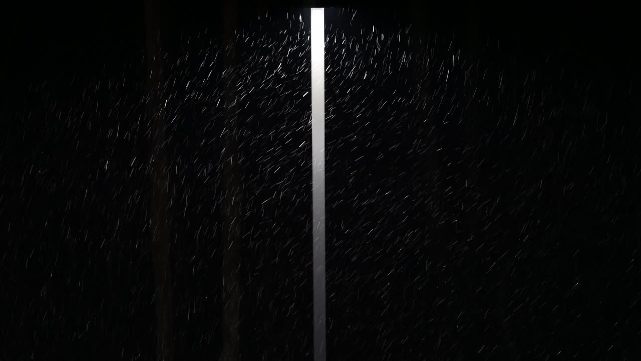 Snowfall - 2022
