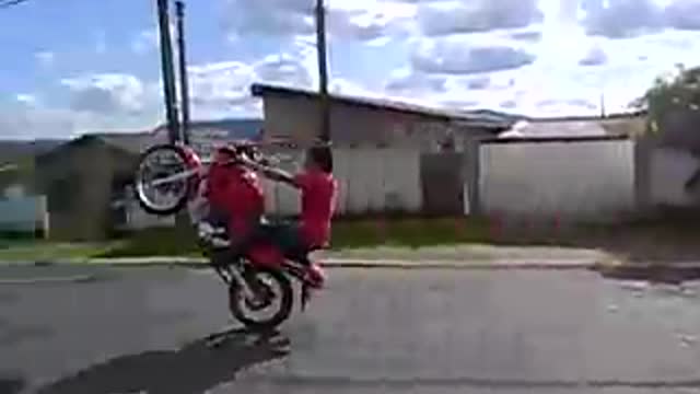 Falcon grau
