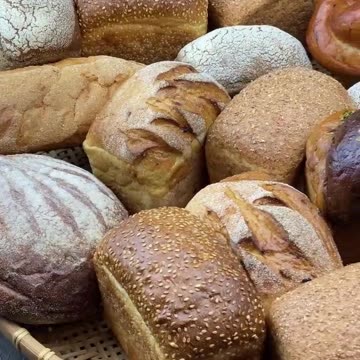 Wealth Essentials Workshop: Practical Lessons for Success