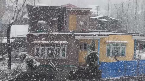 Live snowfall
