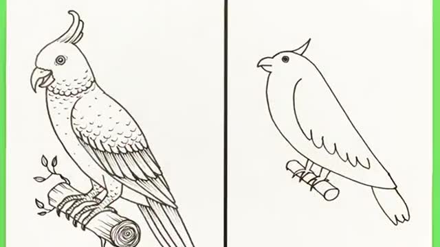 Cacatoes 🦜🎨👨🎨 #drawing #howtodraw #tutorial #art #foryou