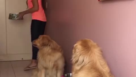 Treato Time