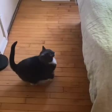 #FYP #ForYou #TikTokFYP #ForYouPage #Trending #Viral #ExplorePage #FYPシ