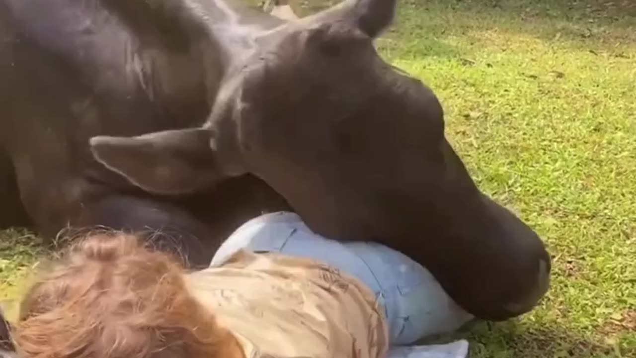 Love ass