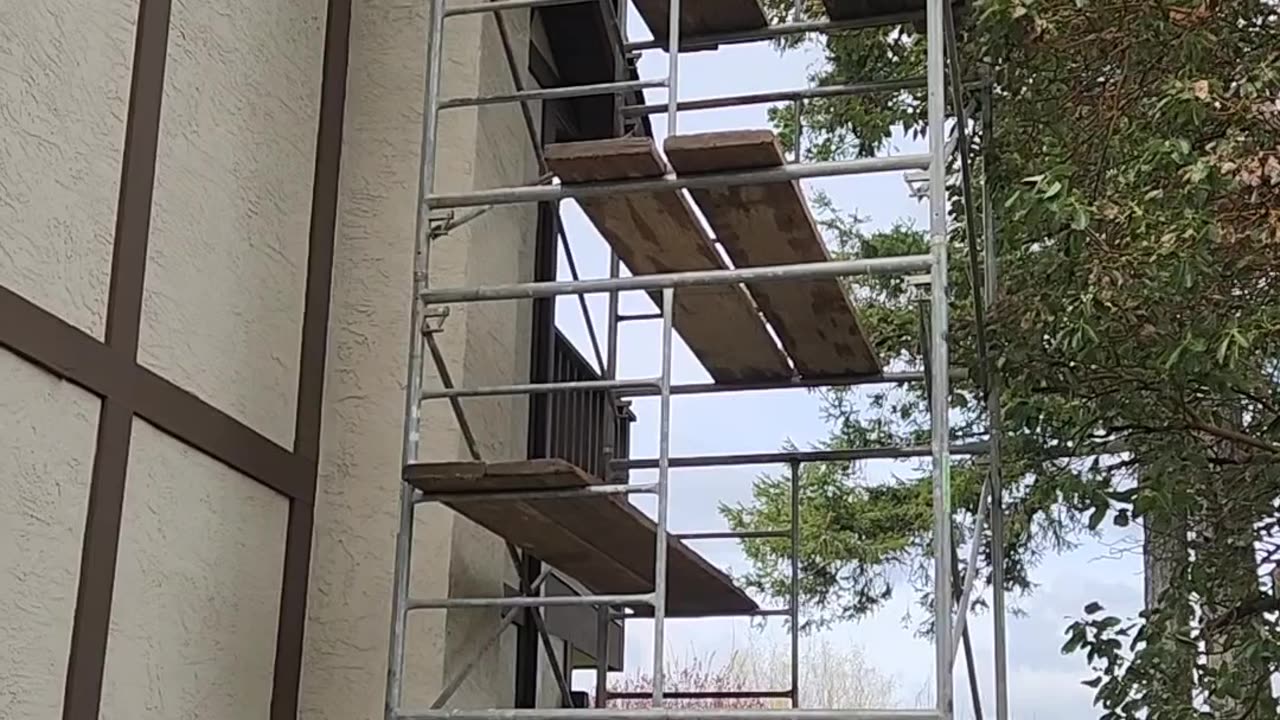 Scaffold Set Up