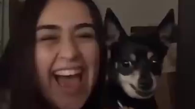 When your dog is more funny than you