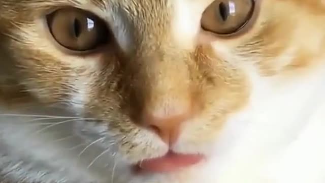 😛