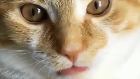 😛
