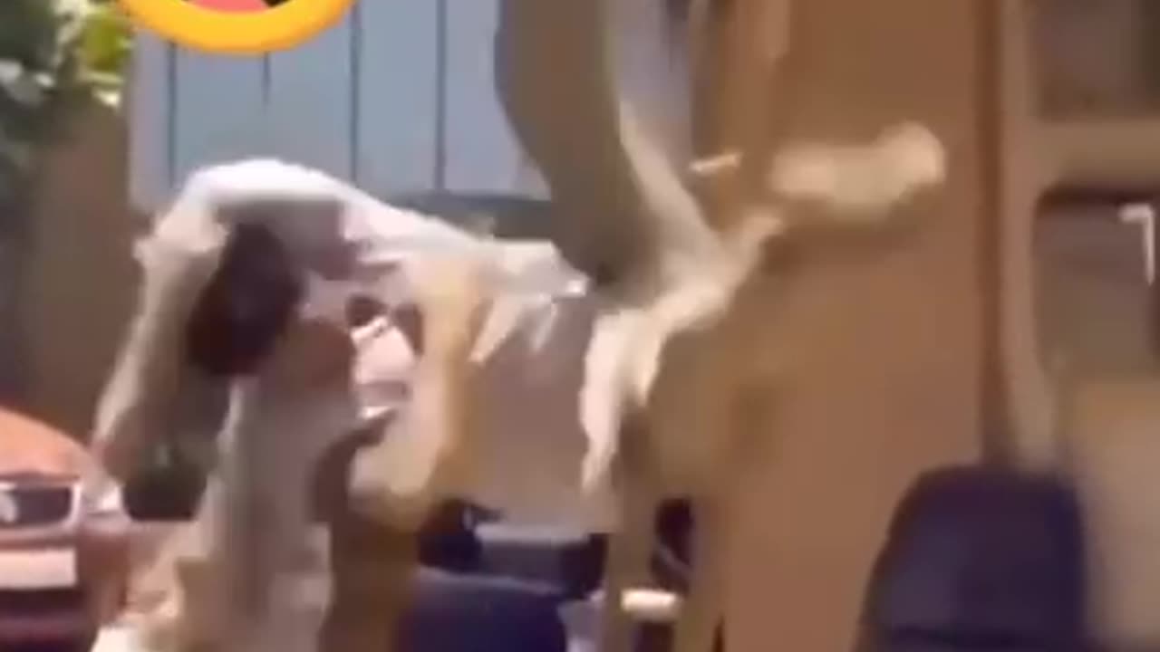 Most Funny moments 🤣😂 #shorts ,#funny #comedy