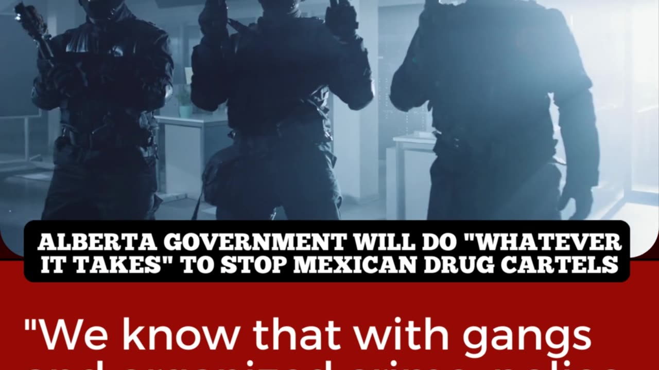 Alberta government will do "whatever it takes" to stop Mexican drug cartels