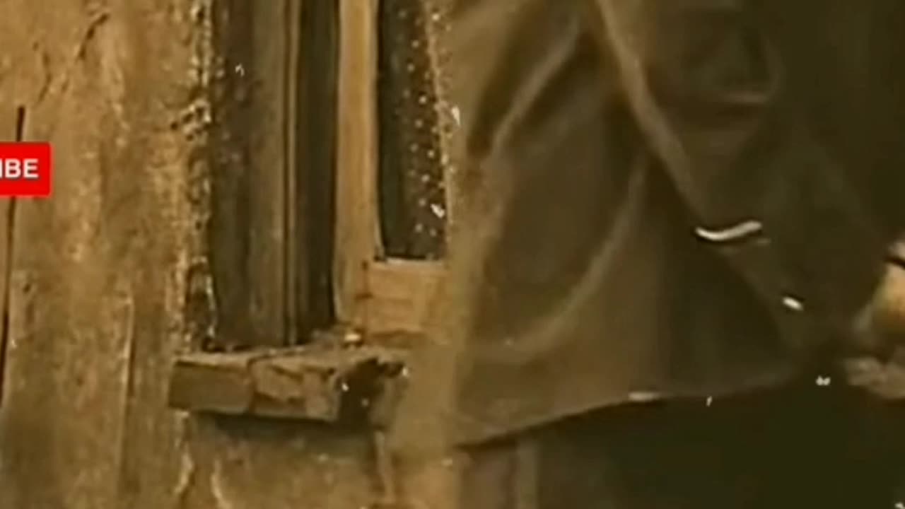 Funny video