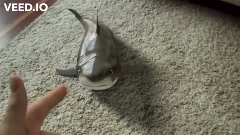 Baby Shark - With Funny Shark