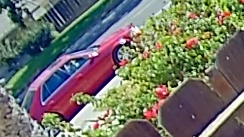 Apparent Catalytic Converter Theft Thwarted by Family Armed With Paintball Guns