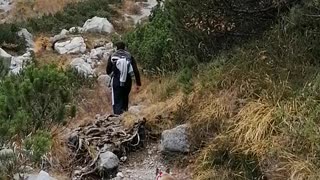 Hiking with a cat in Italy - Austria Border
