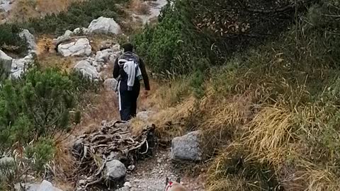 Hiking with a cat in Italy - Austria Border