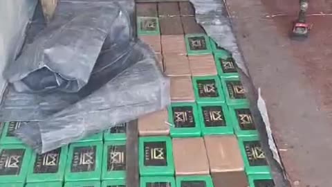 Hallazgo de cocaína en contenedor