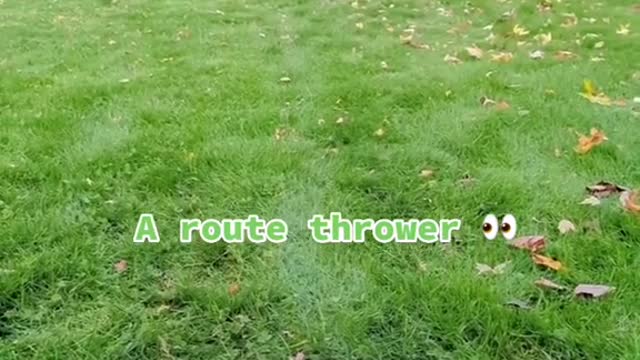 A route thrower 29