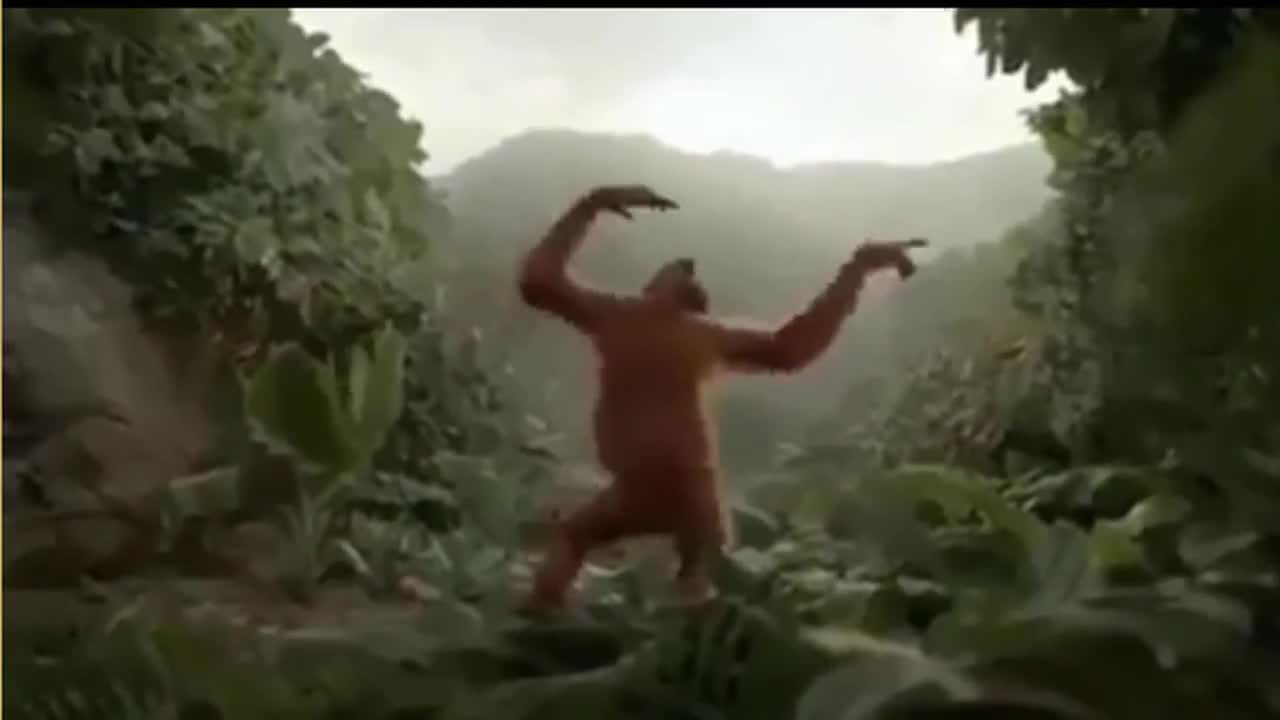 Monkey funny dance@@@