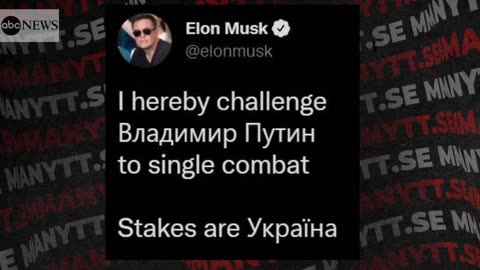 elon musk demand to fight vladimir putin : stake are Ukraine '