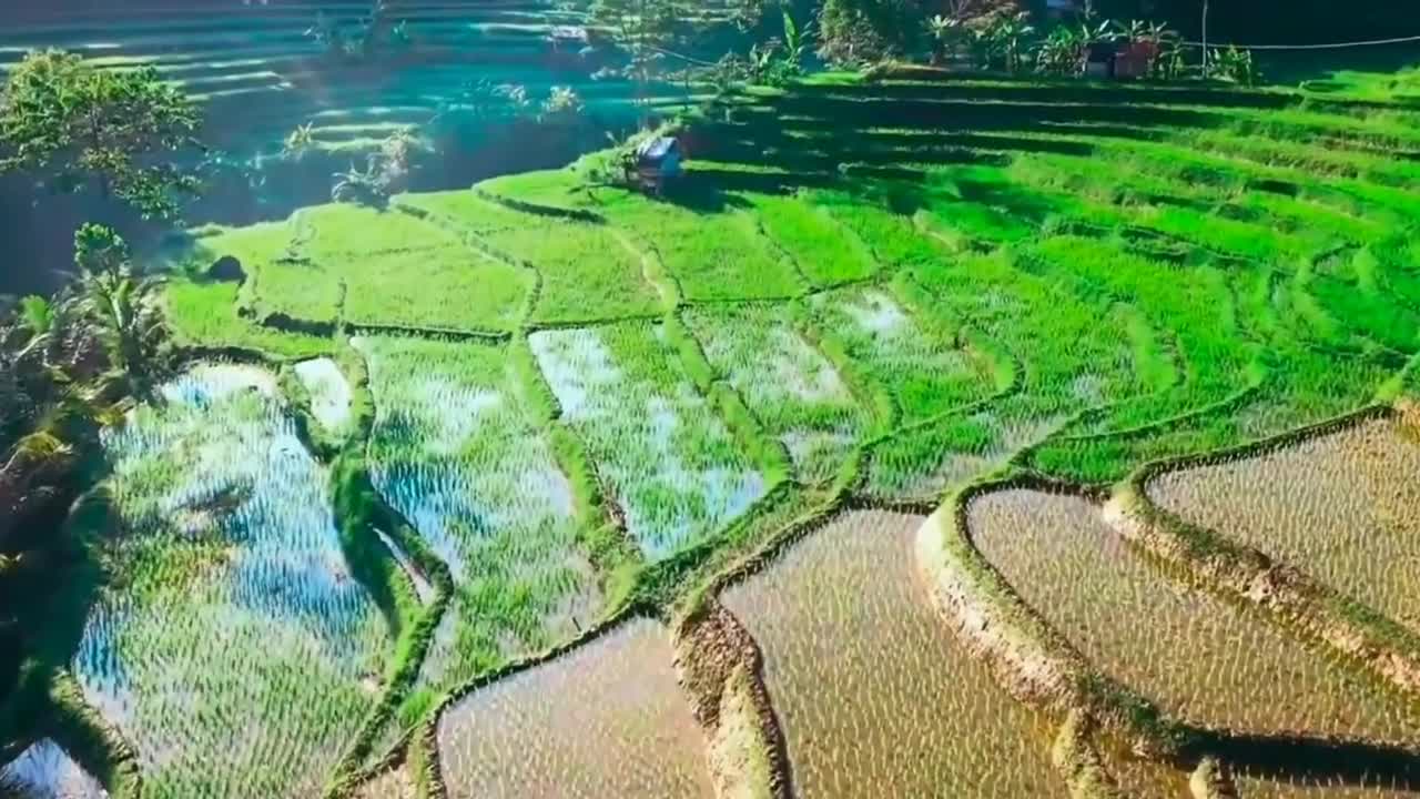 Suasana pedesaan jawa barat,Beautiful Village