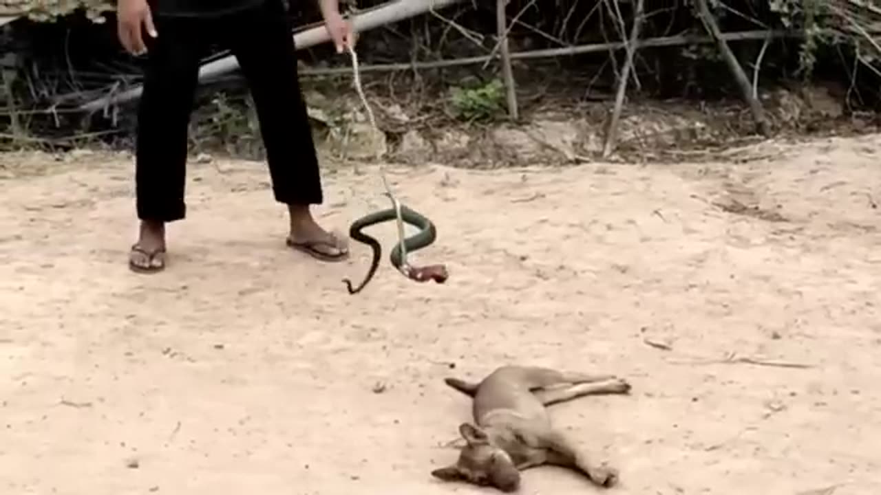 Laugh out loud