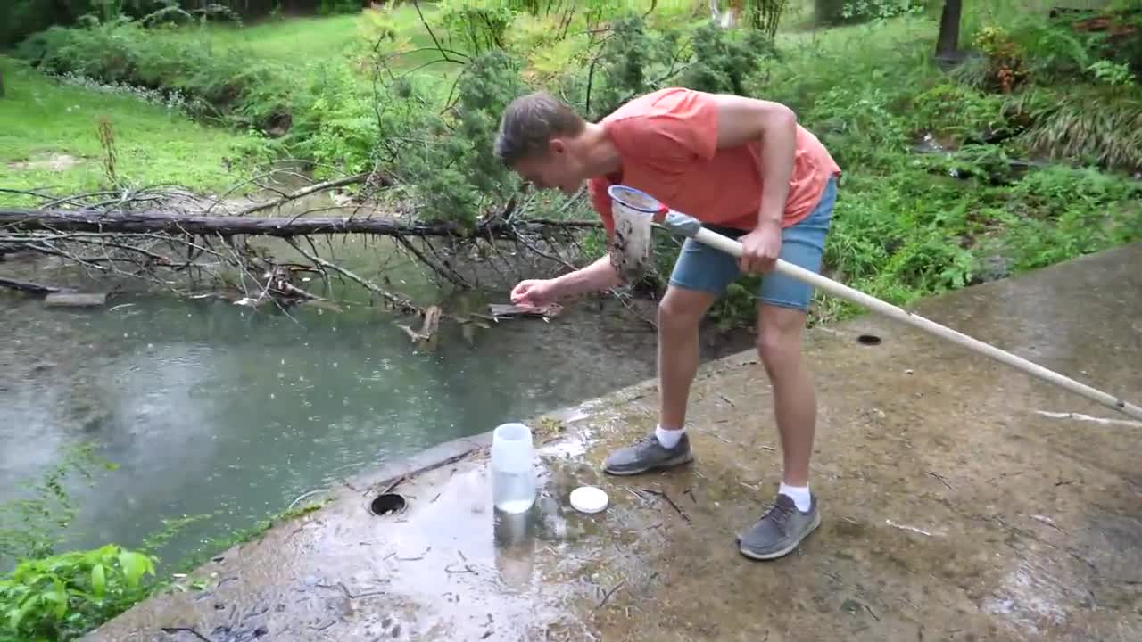 Baby Snapping Turtle vs Crayfish16