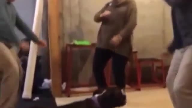 A dog out of place