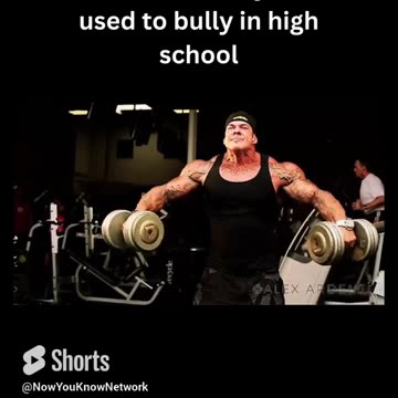 High School Bully