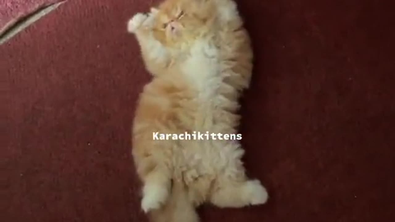 SLEEP TIME
