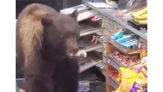 # short #cute robbery