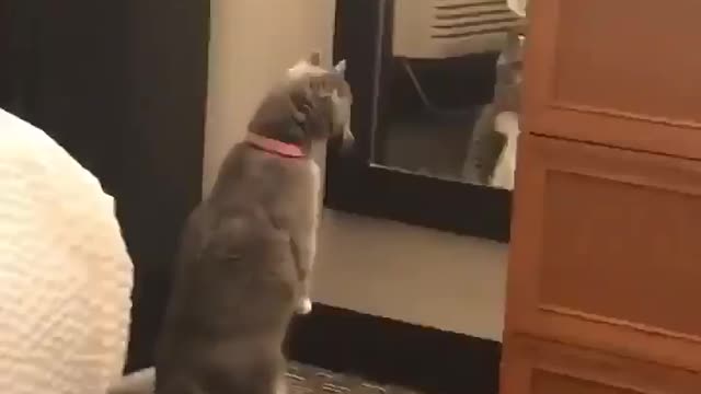 Am I looking good, mom