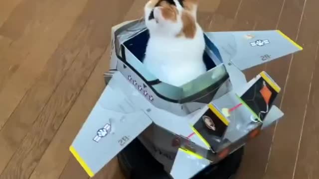 top gun meowverick -- _jirosan77_-__catplane _roomba