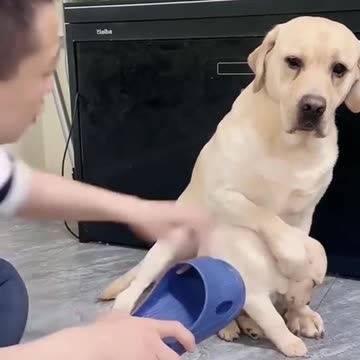 Best mom🥰🥰🥰