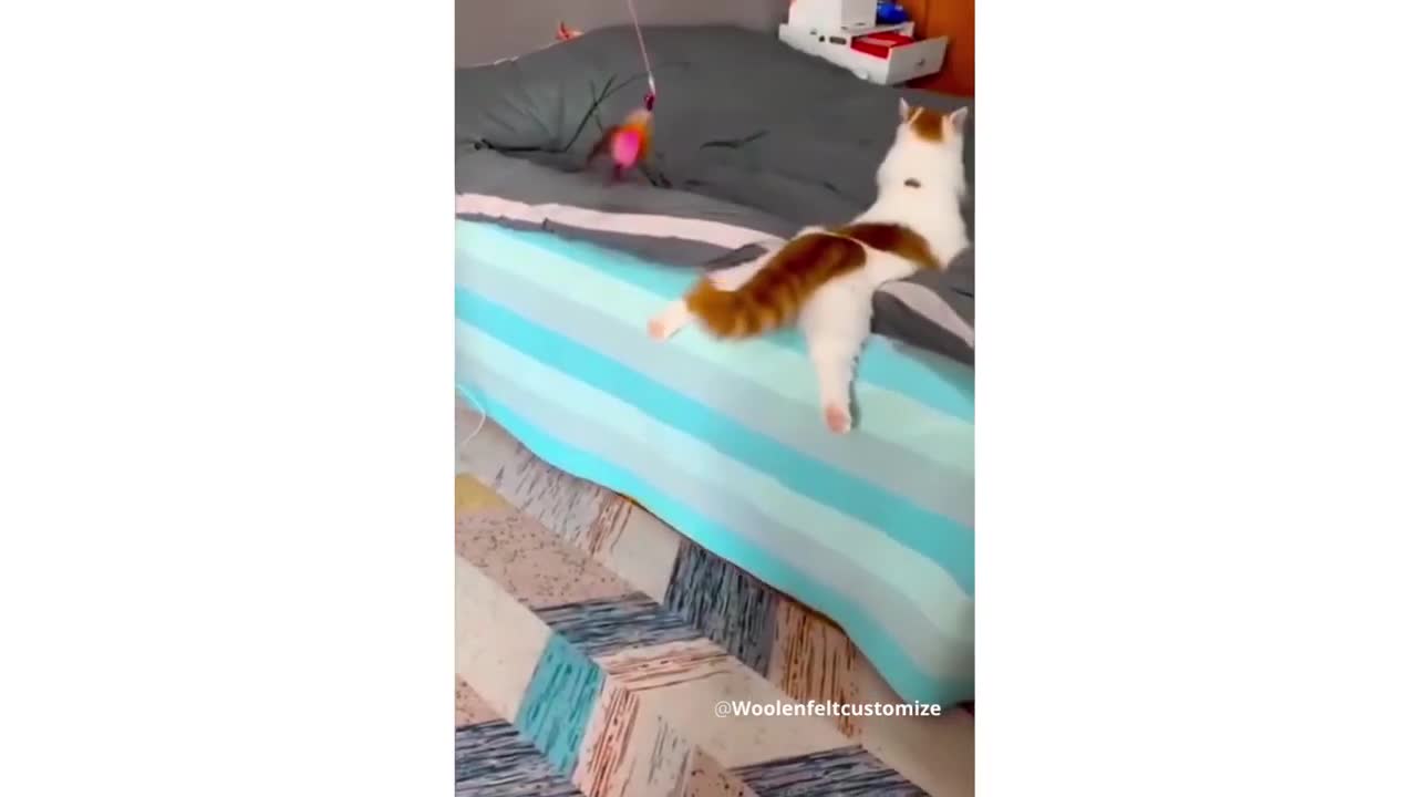 Funny Animal Videos 2022 π - Funniest Dogs And Cats Videos πΊπ