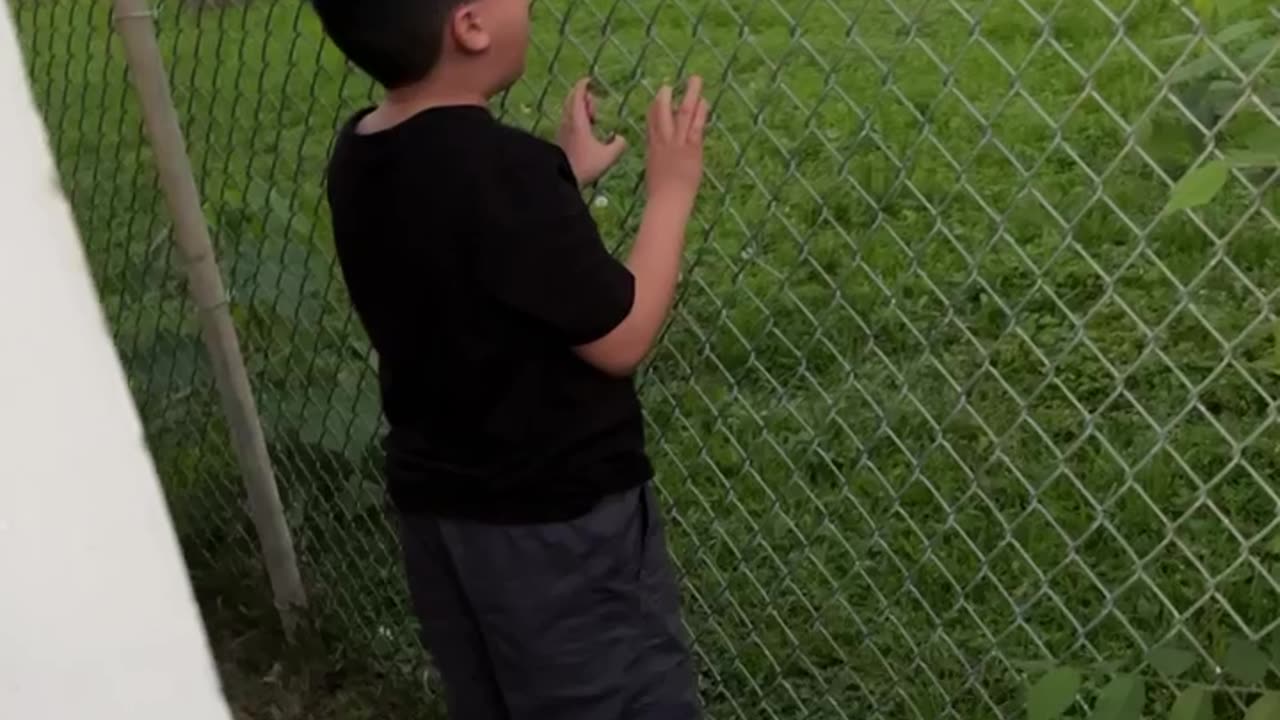 Boy Yells to Neighbor for His Ball