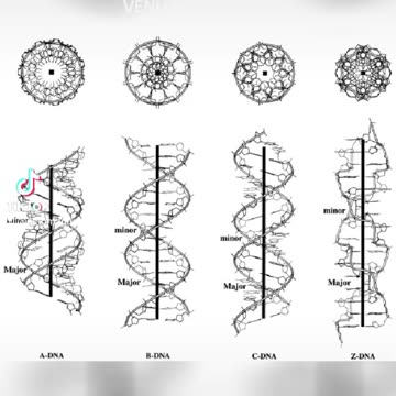 POWER AND THE SKULLS
