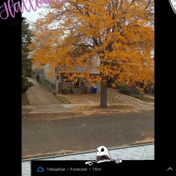 NIGHTMARE BEFORE CHRISTMAS 🎄 HAPPY HALLOWEEN 23 #bonechillingnightmare