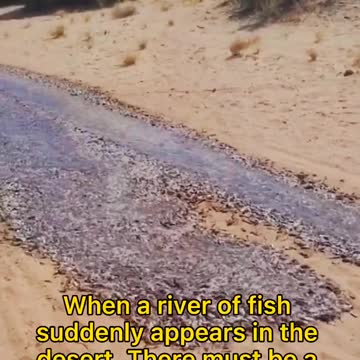 Approaching Disaster??