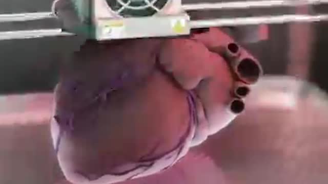 Agenda 2030 video that dissappeared from WEF web site..