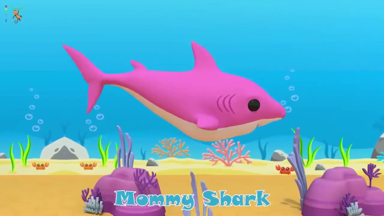 BABY SHARK DOO DOO DOO DOO!!!