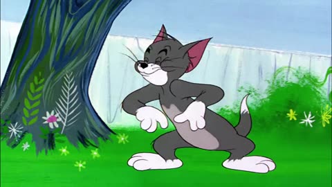 Tom &_jerry videos 2024