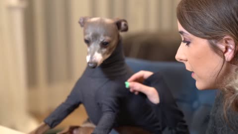 Cutting Soap For My Dog While He Wears A Turtleneck